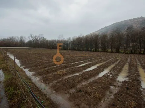 Prodaja, plac, 15000m², Danilovgrad, Crna Gora