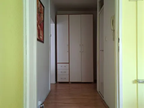 Izdavanje, jednosoban stan, 44m², Nova Detelinara, Novi Sad Sve Podlokacije - image 8