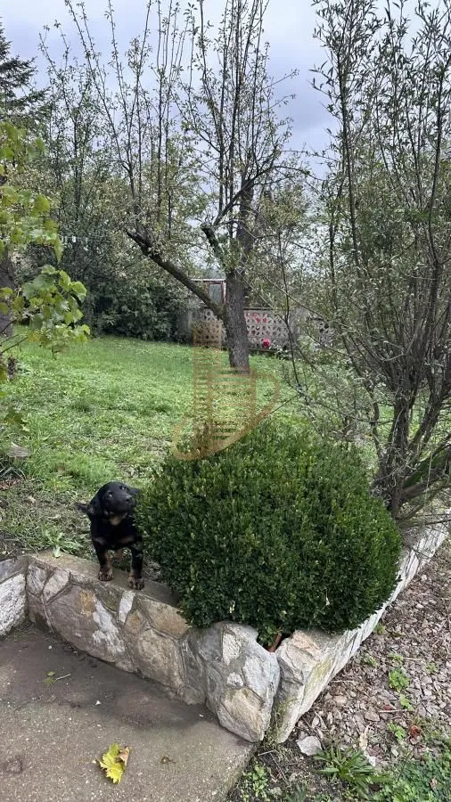 Prodaja, kuća, 178m², Rudnik, Gornji Milanovac