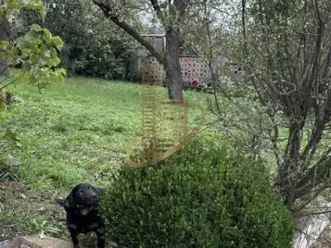 Sale, house, 178m², Rudnik, Gornji Milanovac - image 20