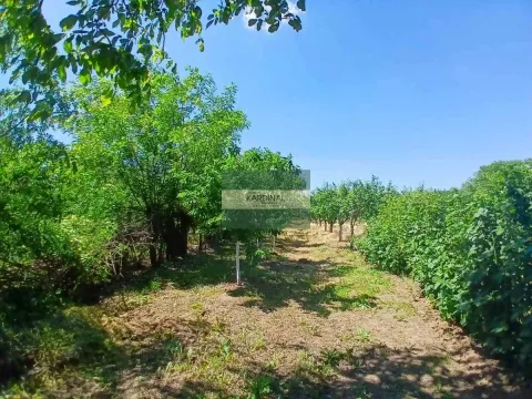 Prodaja, kuća, 65m², Kovačevac, Jagodina - image 32