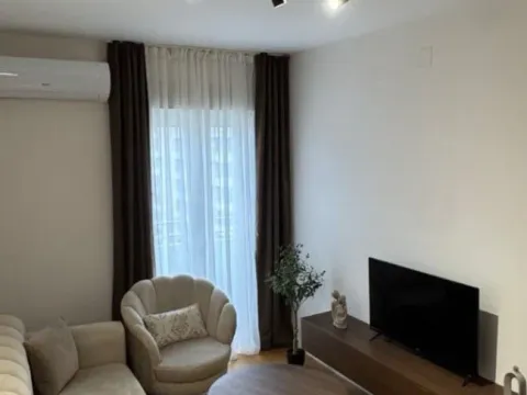 Izdavanje, jednosoban stan, 43m², Central Point, Podgorica - image 8