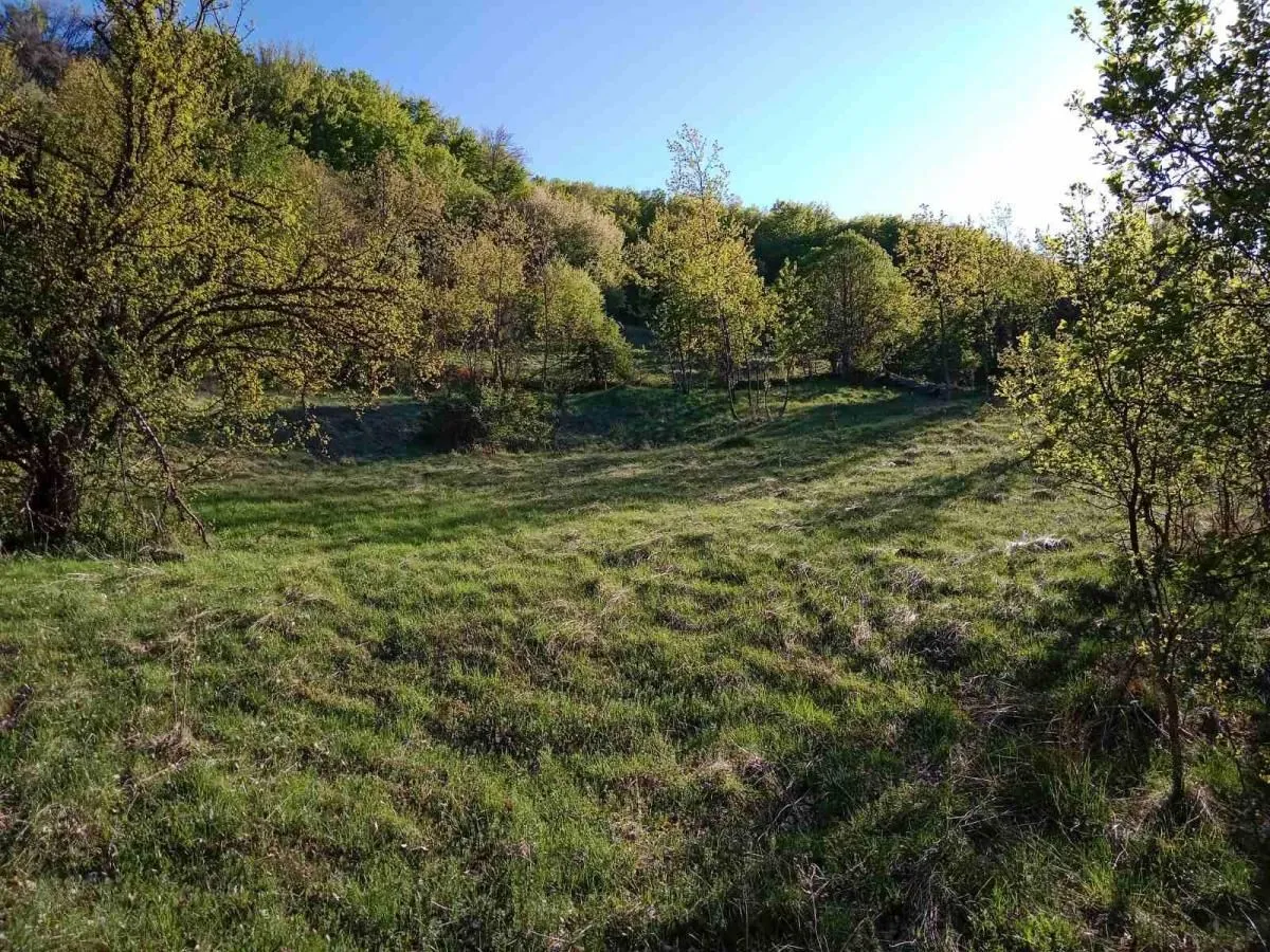 Prodaja, plac, 13700m², Miloševići, Šavnik