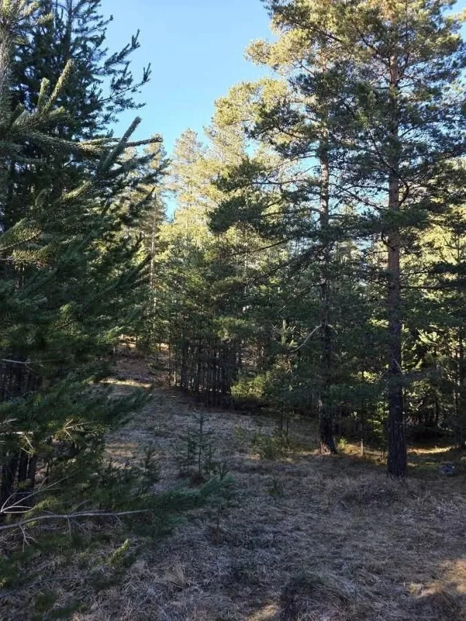Prodaja, plac, 50000m², Borje, Žabljak