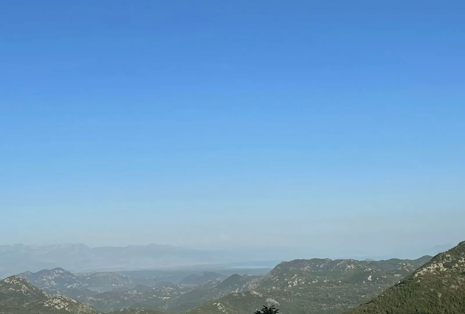 Prodaja, plac, 10000m², Cetinje, Crna Gora
