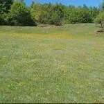 Prodaja, plac, 3000m², Kolašin, Crna Gora - image 7