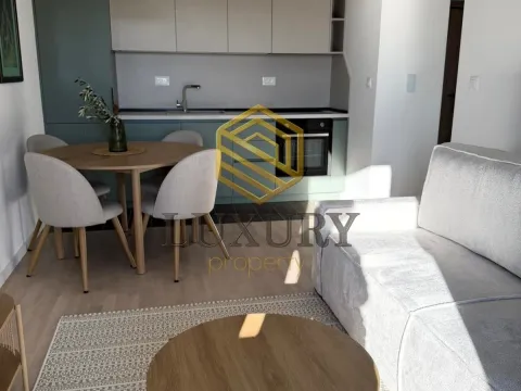 Rent, one bedroom apartment, 37m², Tološi, Podgorica - image 8