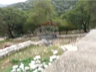 Prodaja, plac, Risan, Kotor - image 12