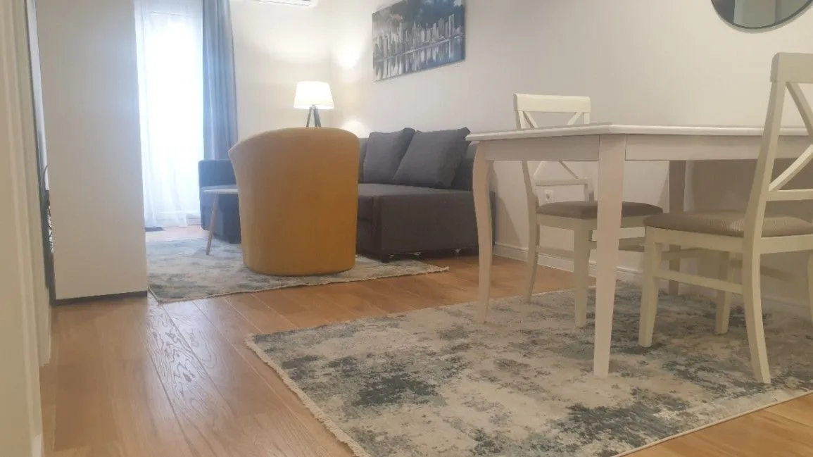 Rent, one bedroom apartment, 47m², Central Point, Podgorica