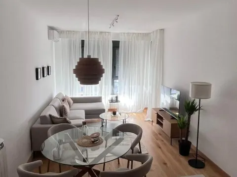 Izdavanje, dvosoban stan, 49m², Centar Sve Podlokacije, Beograd - image 4