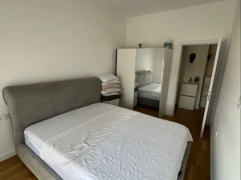 Rent, one bedroom apartment, 47m², Zabjelo, Podgorica - image 5