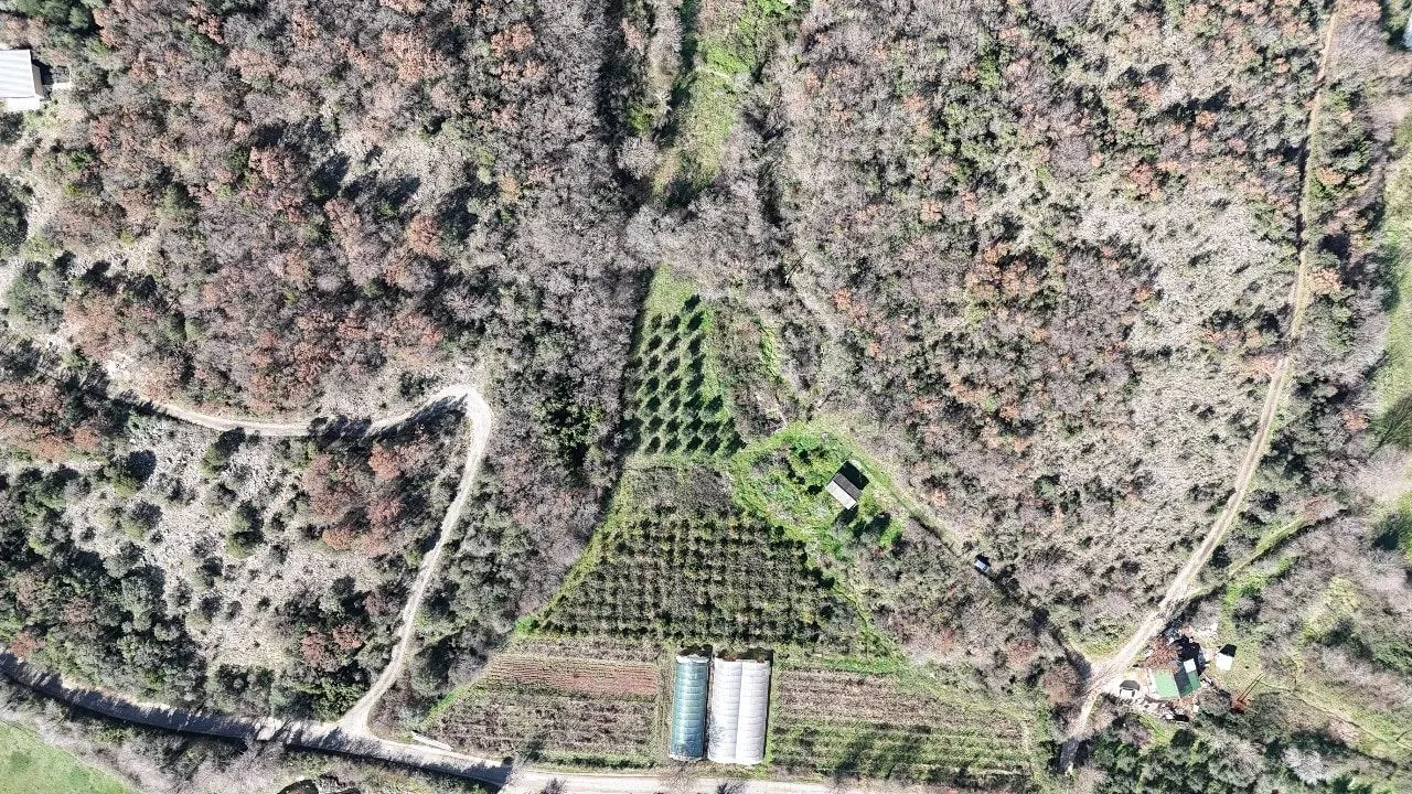 Prodaja, plac, 6000m², Darza, Ulcinj