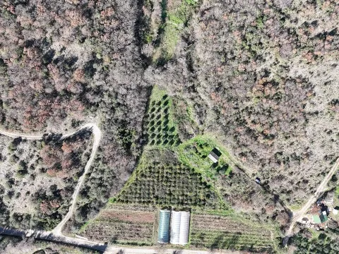 Prodaja, plac, 6000m², Darza, Ulcinj - image 3