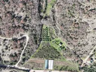 Prodaja, plac, 6000m², Darza, Ulcinj - image 3