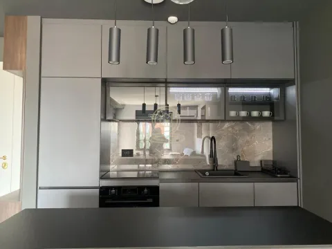 Rent, two bedroom apartment, 53m², Cvijićeva, Palilula Sve Podlokacije - image 11