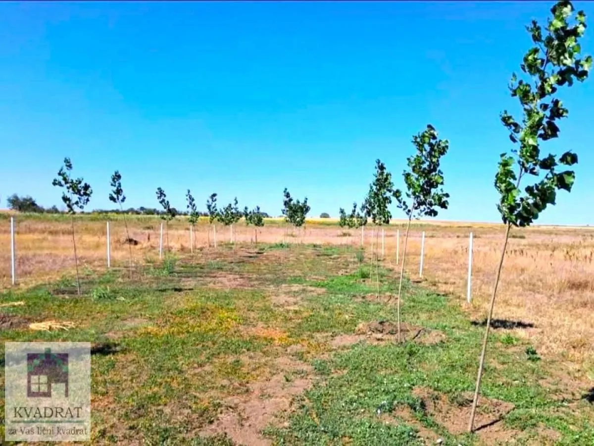 Prodaja, kuća, 35m², Elemir, Zrenjanin