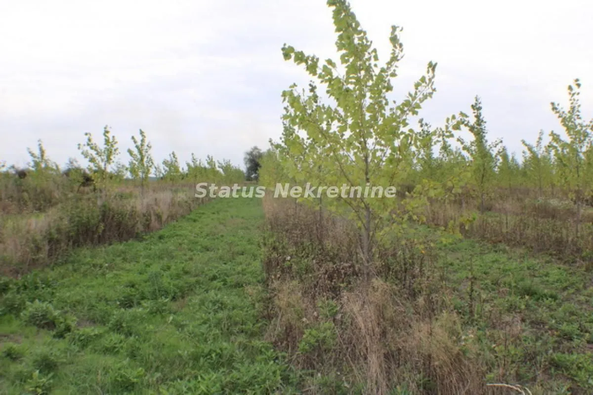 Prodaja, plac, 1378m², Zrenjanin, Srbija