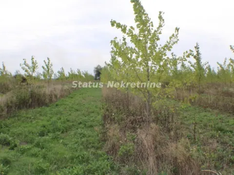 Prodaja, plac, 1378m², Zrenjanin, Srbija - image 53