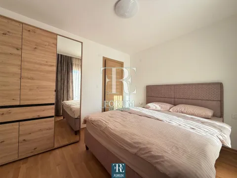 Izdavanje, jednosoban stan, 40m², Stari Aerodrom, Podgorica - image 8