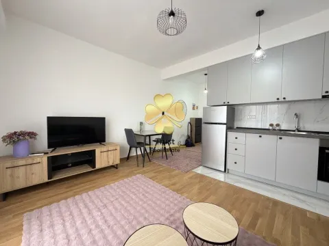 Izdavanje, garsonjera, 35m², Zabjelo, Podgorica - image 4