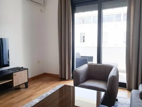 Izdavanje, jednosoban stan, 68m², Centar, Podgorica - image 8