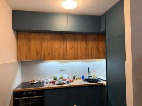 Izdavanje, jednosoban stan, 40m², Tuški Put, Podgorica - image 11