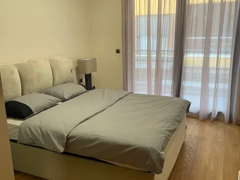 Izdavanje, jednosoban stan, 52m², Podgorica, Crna Gora - image 4