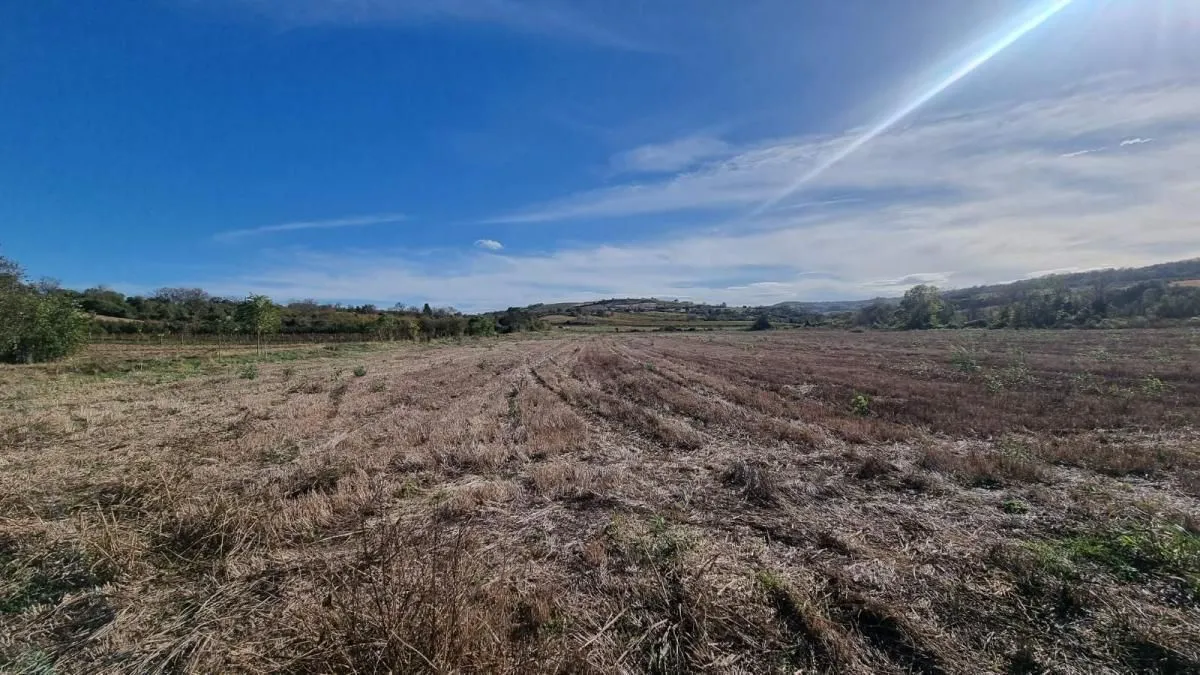 Prodaja, plac, 234m², Sremski Karlovci, Novi Sad