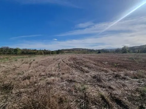 Sale, land lot, 234m², Sremski Karlovci, Novi Sad - image 9