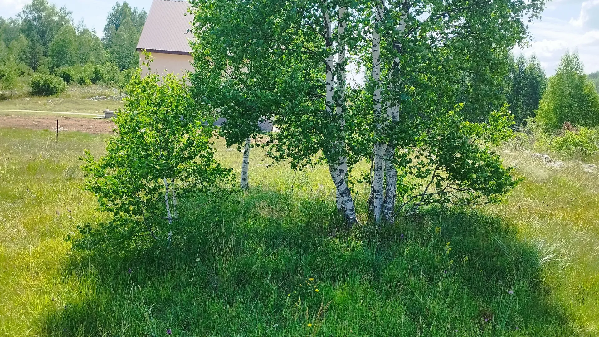 Sale, land lot, 596m², Tepačko polje, Žabljak