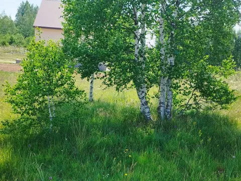 Sale, land lot, 596m², Tepačko polje, Žabljak - image 4