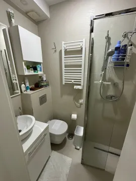 Manje kupatilo sa tuš kabinom, umivaonikom i ugrađenom šoljom. - image 11