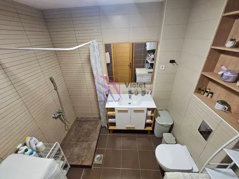 Bathroom equipped with a walk-in shower, washbasin, and toilet. - image 13