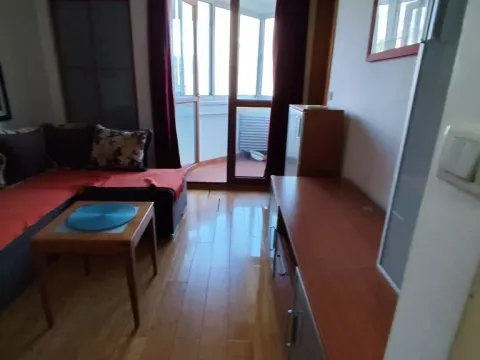 Prodaja, jednosoban stan, 31m², Preko Morače, Podgorica - image 4