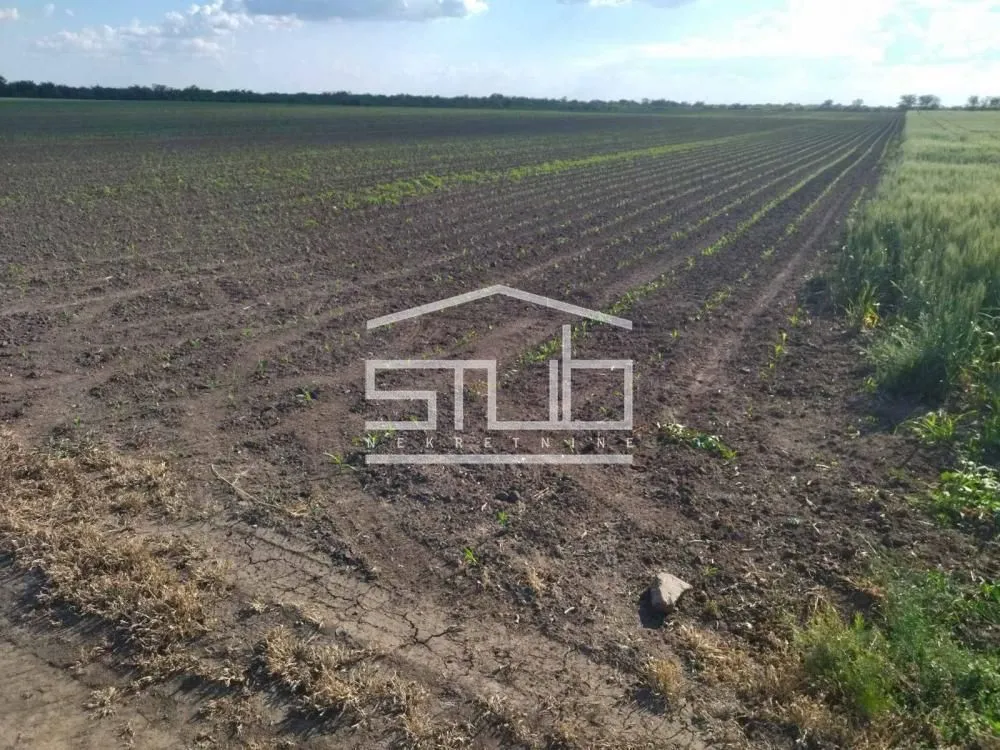 Prodaja, plac, 12300m², Novi Banovci, Stara Pazova