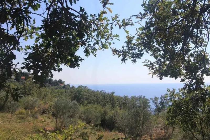 Pogled na more sa zemljišta okruženog zelenilom.