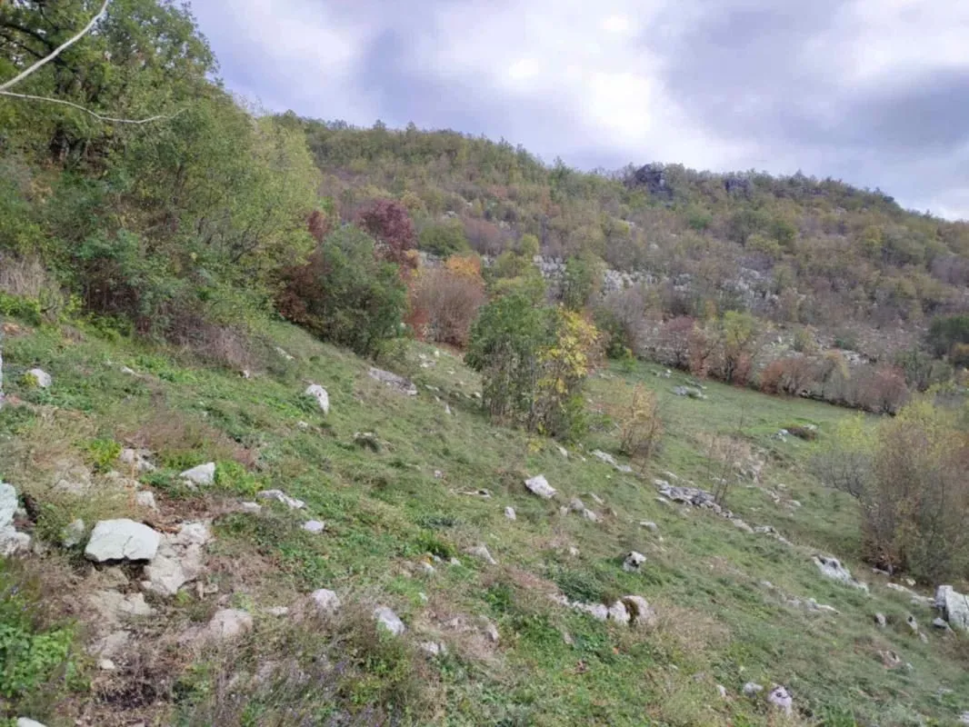 Prodaja, plac, 26000m², Cetinje, Crna Gora