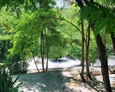 Prodaja, kuća, 170m², Niš, Srbija - image 29