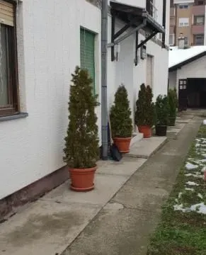 Prodaja, kuća, 280m², Telep, Novi Sad Sve Podlokacije - image 46