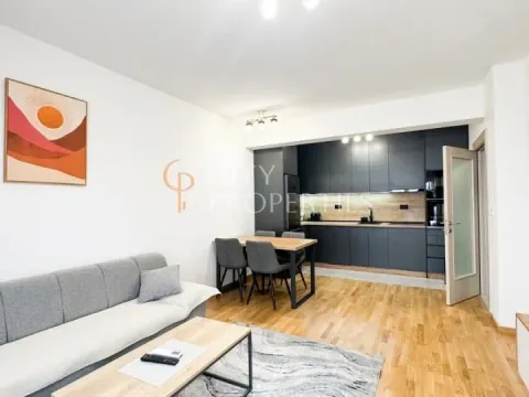 Izdavanje, stan, 46m², Stara Varoš, Podgorica - image 4