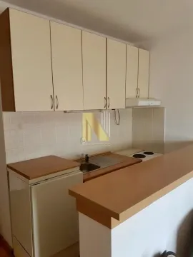 Izdavanje, garsonjera, 21m², Grbavica, Novi Sad Sve Podlokacije - image 4