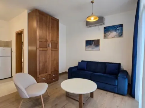 Izdavanje, garsonjera, 25m², Momišići, Podgorica - image 13