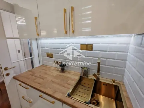 Izdavanje, dvosoban stan, 55m², Vračar Sve Podlokacije, Beograd - image 16