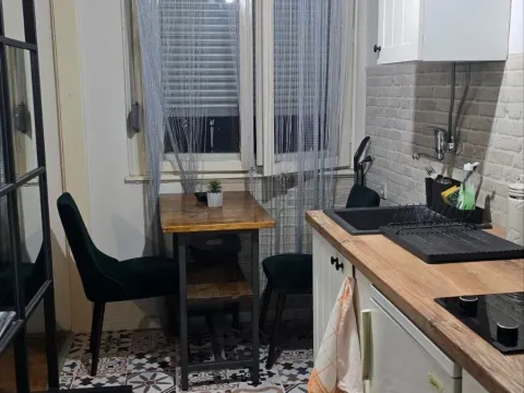 Rent, studio apartment, 27m², Preko Morače, Podgorica - image 5