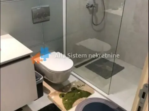 Izdavanje, dvosoban stan, 54m², Savski Venac, Beograd - image 14