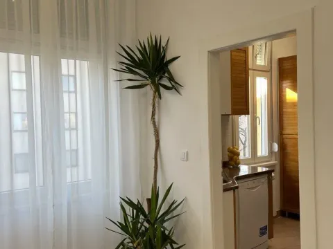 Izdavanje, dvosoban stan, 96m², Stari Grad, Beograd - image 7