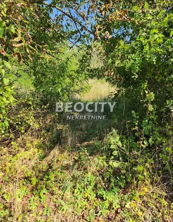 Prodaja, plac, 26m², Popović, Rača