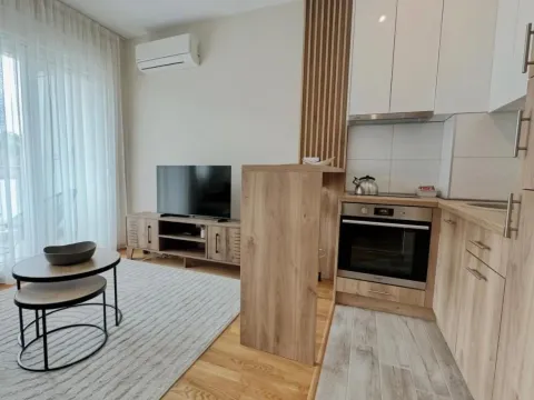 Izdavanje, stan, 30m², Zagorič, Podgorica - image 12