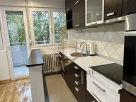 Izdavanje, jednosoban stan, 45m², Stari Merkator, Novi Beograd Sve Podlokacije - image 4