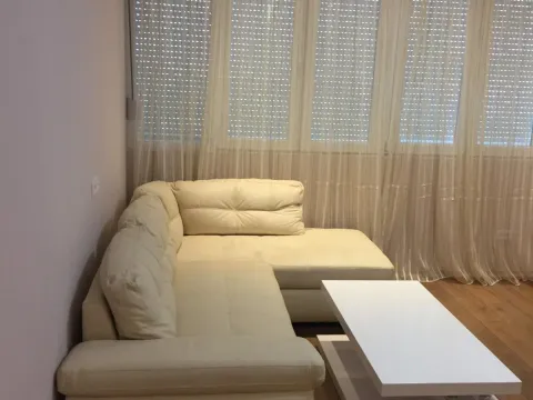 Izdavanje, jednosoban stan, 45m², Centar, Podgorica - image 2